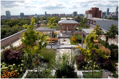 intensive green roof